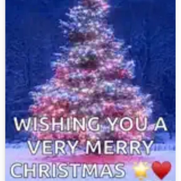 HAPPY HOLIDAYS! & HAVE A HAPPY & BLESSED NEW YEAR! - Picture 2 of 2